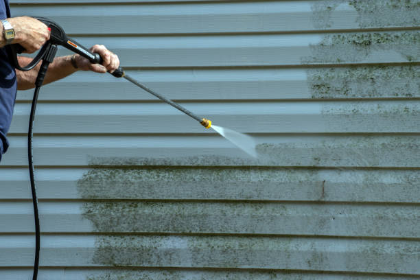 Best Warehouse Cleaning  in Osage, IA